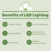 Picture of 4 ft. T8 LED Tube - Color Selectable - 2300 Lumens - Type A+B - Operates with or Without Ballast